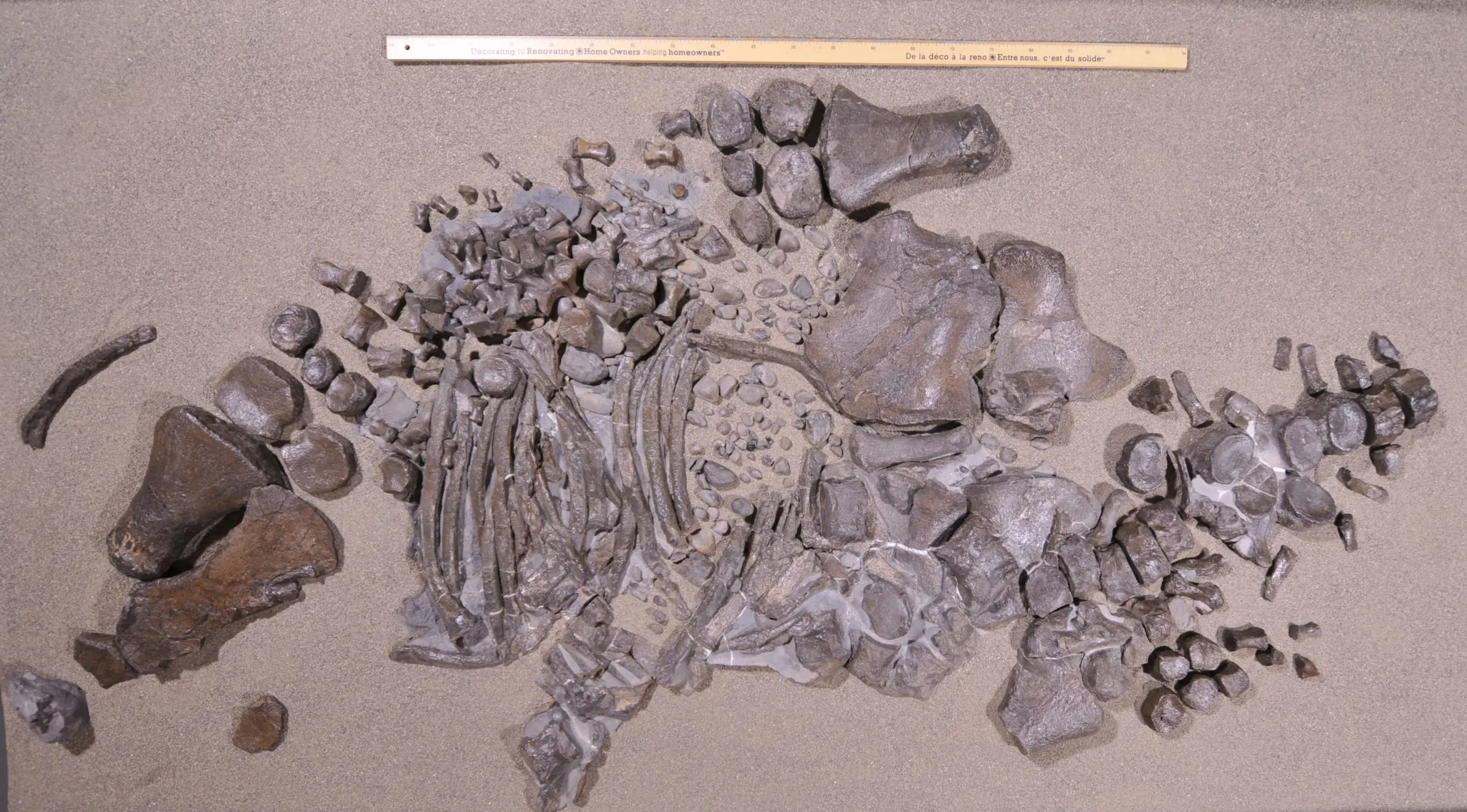 ǳ֡40Ӣ߳ĺжǱʷǰô