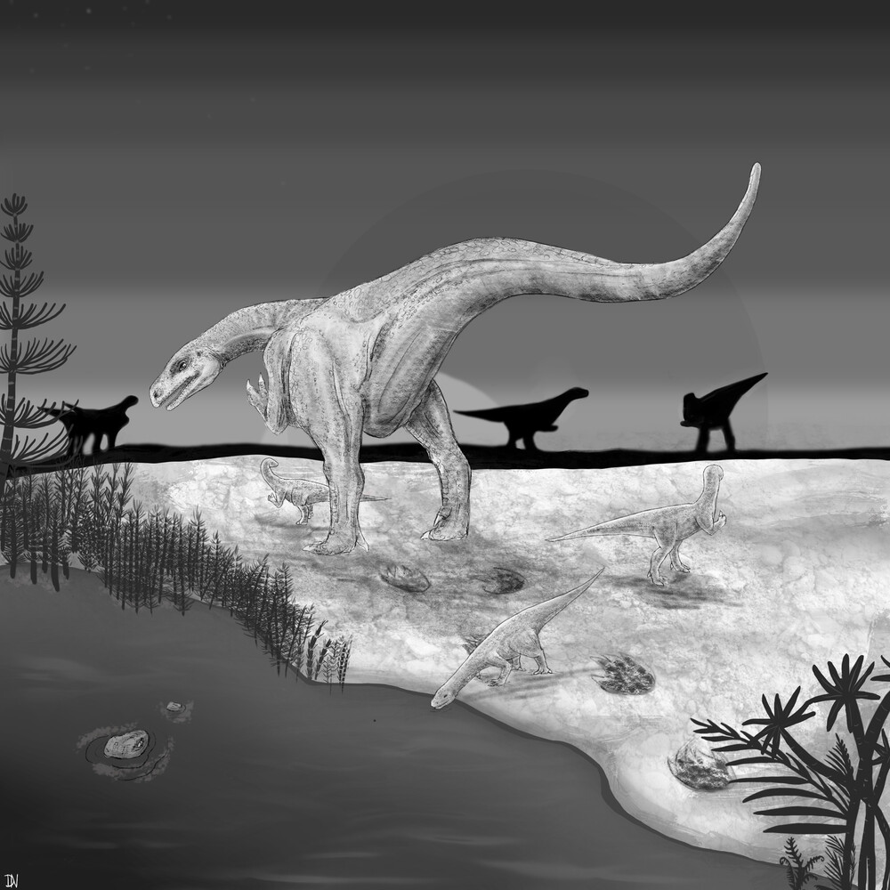 古生物学家发现,板龙的尾巴可能是一种强大的防御武器