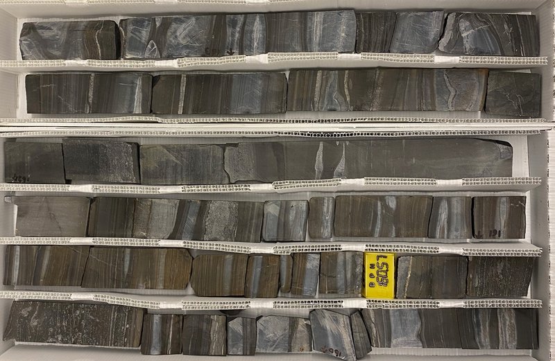 еÿܱǰΪĸ緢ΪĽṩµļ