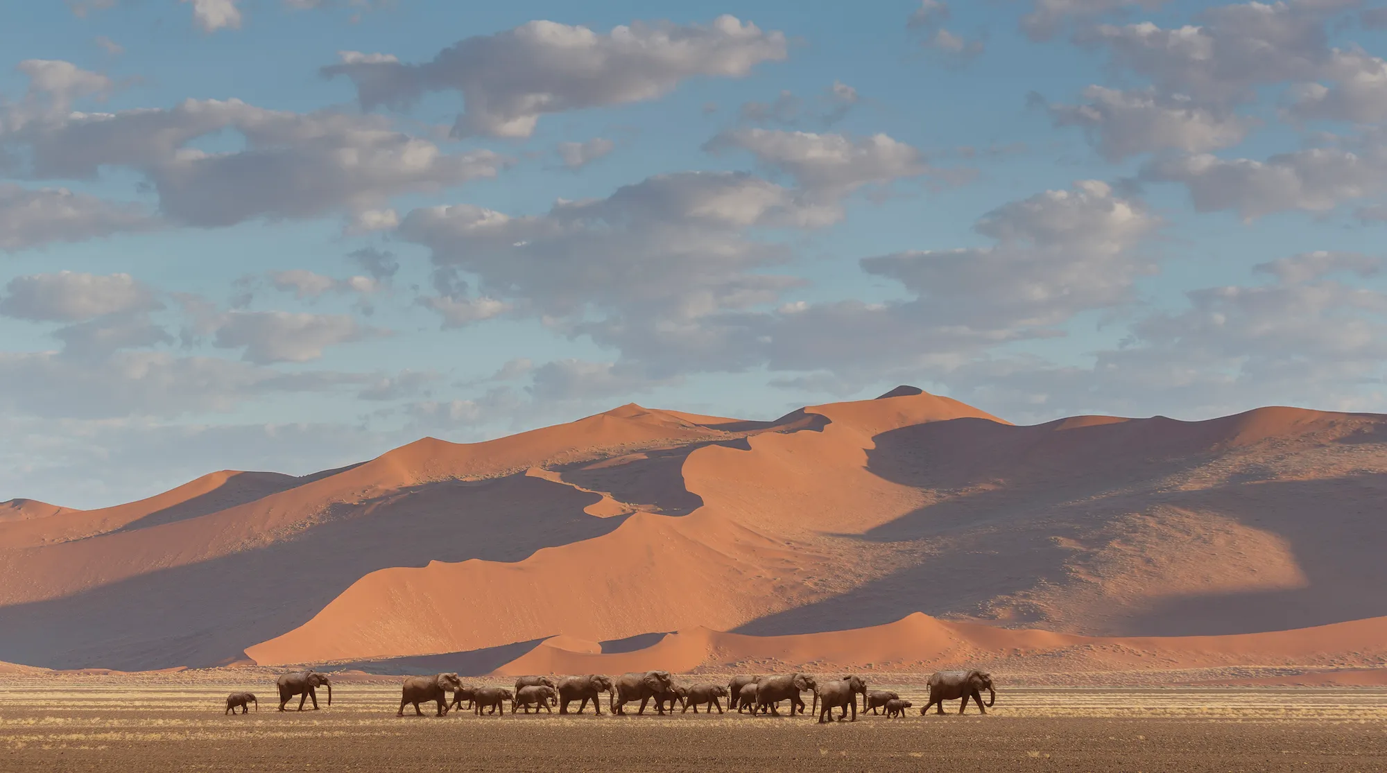 我们是否正在经历第六次大灭绝?
