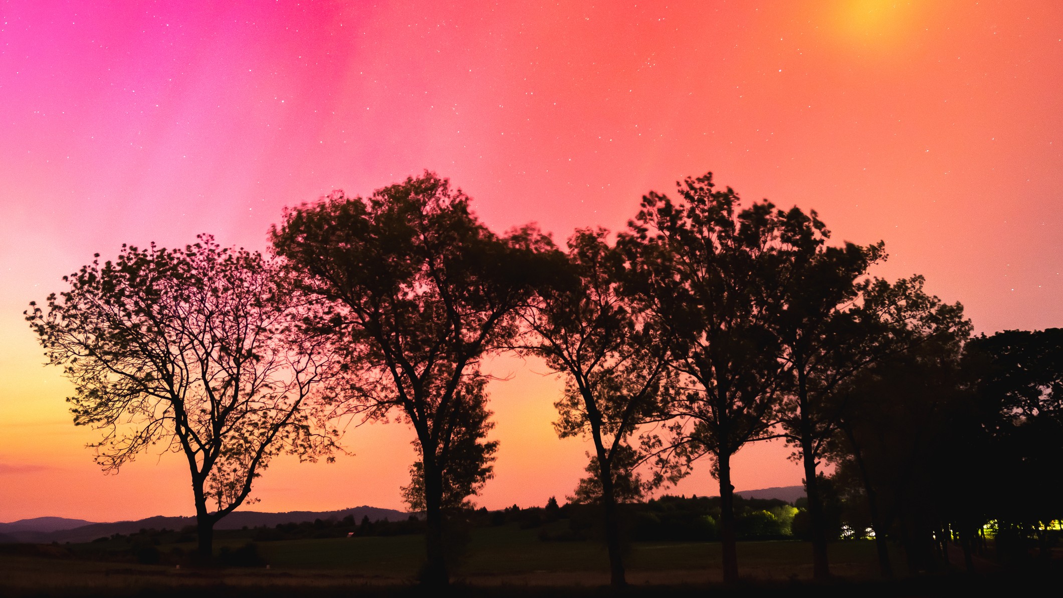 ѧҷֵųˮƽ֮ǿҶ벻ϵ