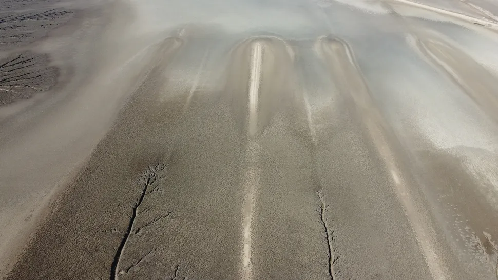 新的证据表明,1200年前被奴役的非洲人在伊拉克领导了长达十年的叛乱