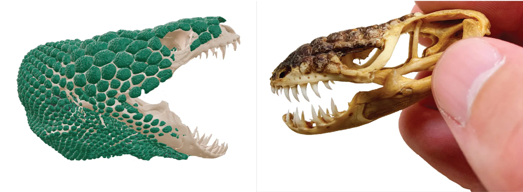 һֻܴСʷǰĹͷȻʷݹ20