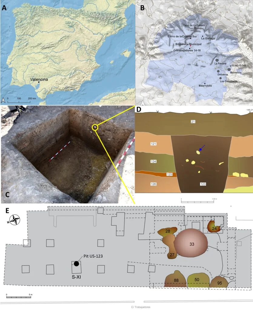 ͭʱַĺĨ㾨ݽʾ˹Ŵ뺣ϵ