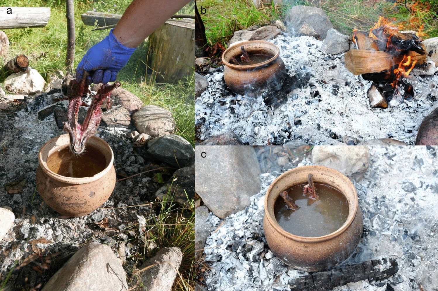 石器时代的人类用火焰、刀片和肉质炖菜来提取动物牙齿