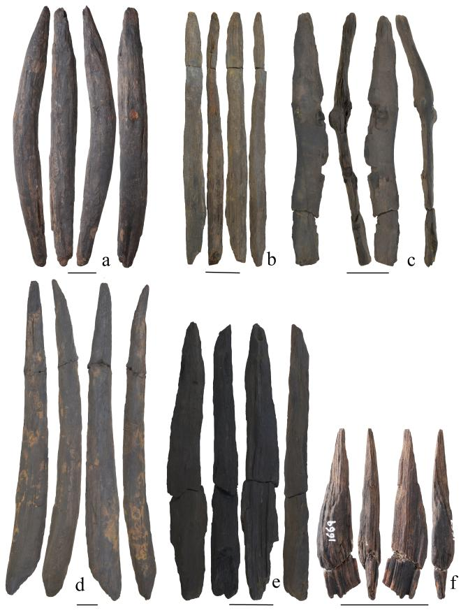 石器时代中国罕见的木制工具揭示了古代湖滨人类以植物为基础的生活方式