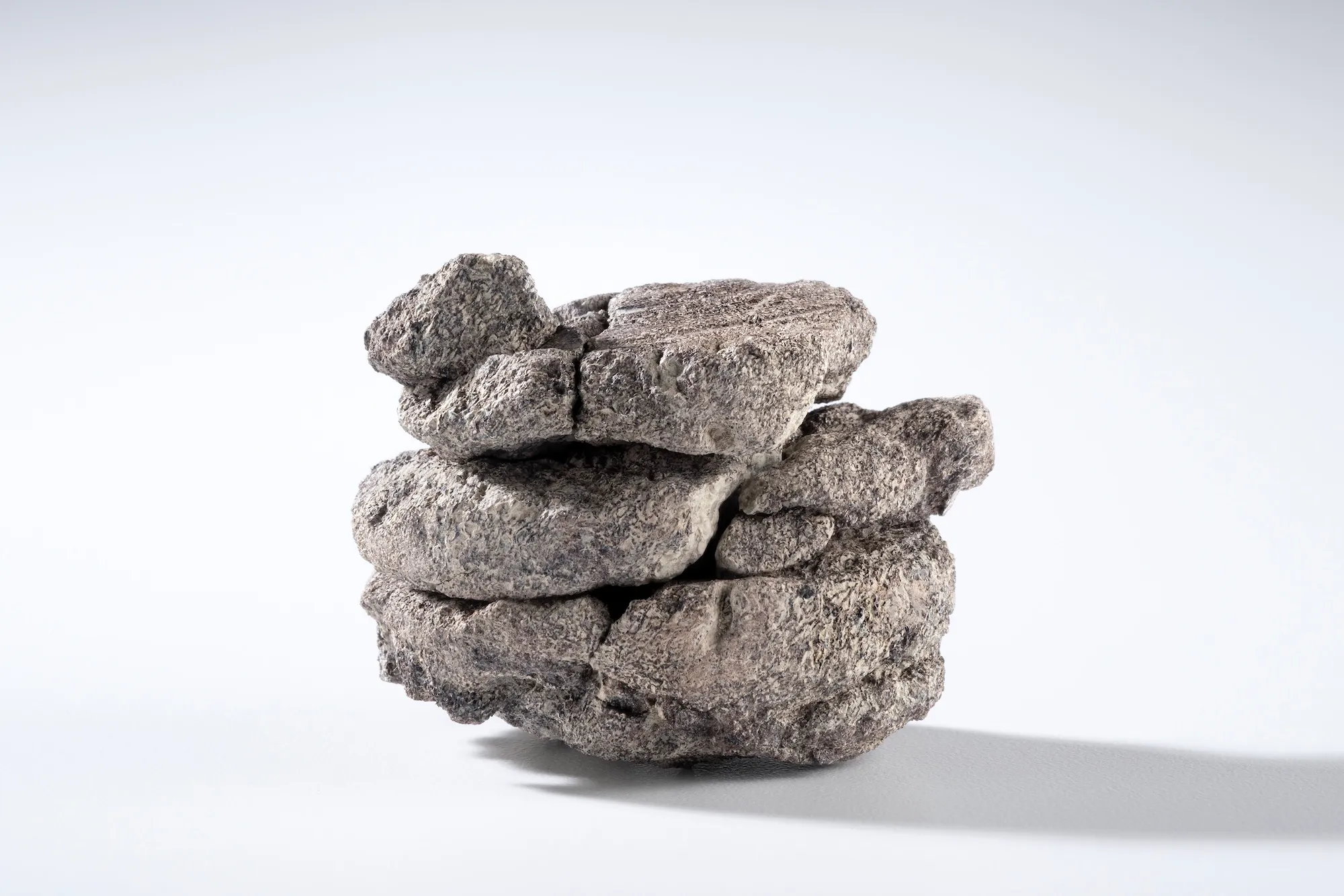 丹佛博物馆在停车场下发现恐龙骨头