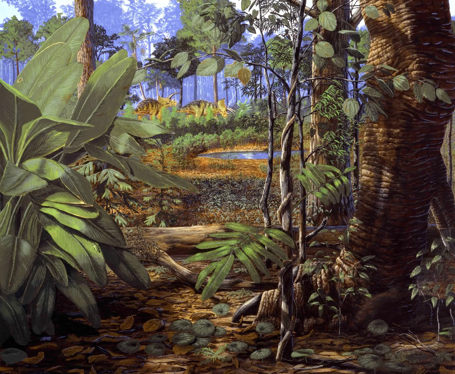 丹佛博物馆在停车场下发现恐龙骨头