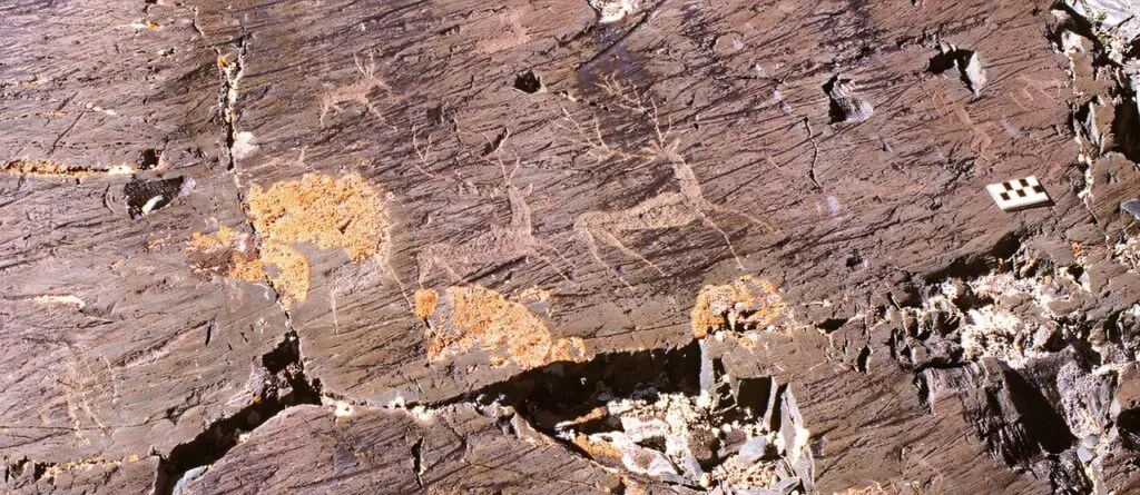 研究揭示了古代麋鹿岩艺术是如何从现实主义转变为扭曲的狼形野兽的