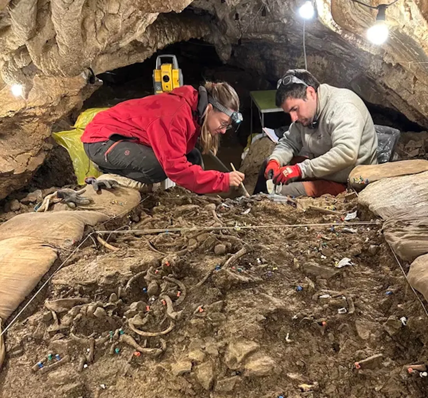 考古学家在比利牛斯山脉发现了4000年前的谋杀证据