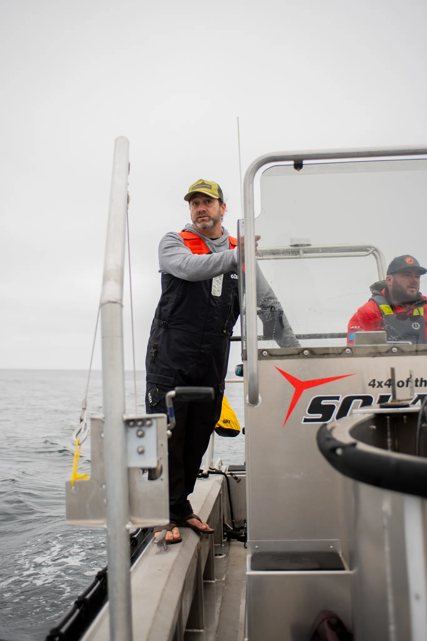 从疤痕到藤壶花,鲸鱼的尾巴是它生命的生动记录