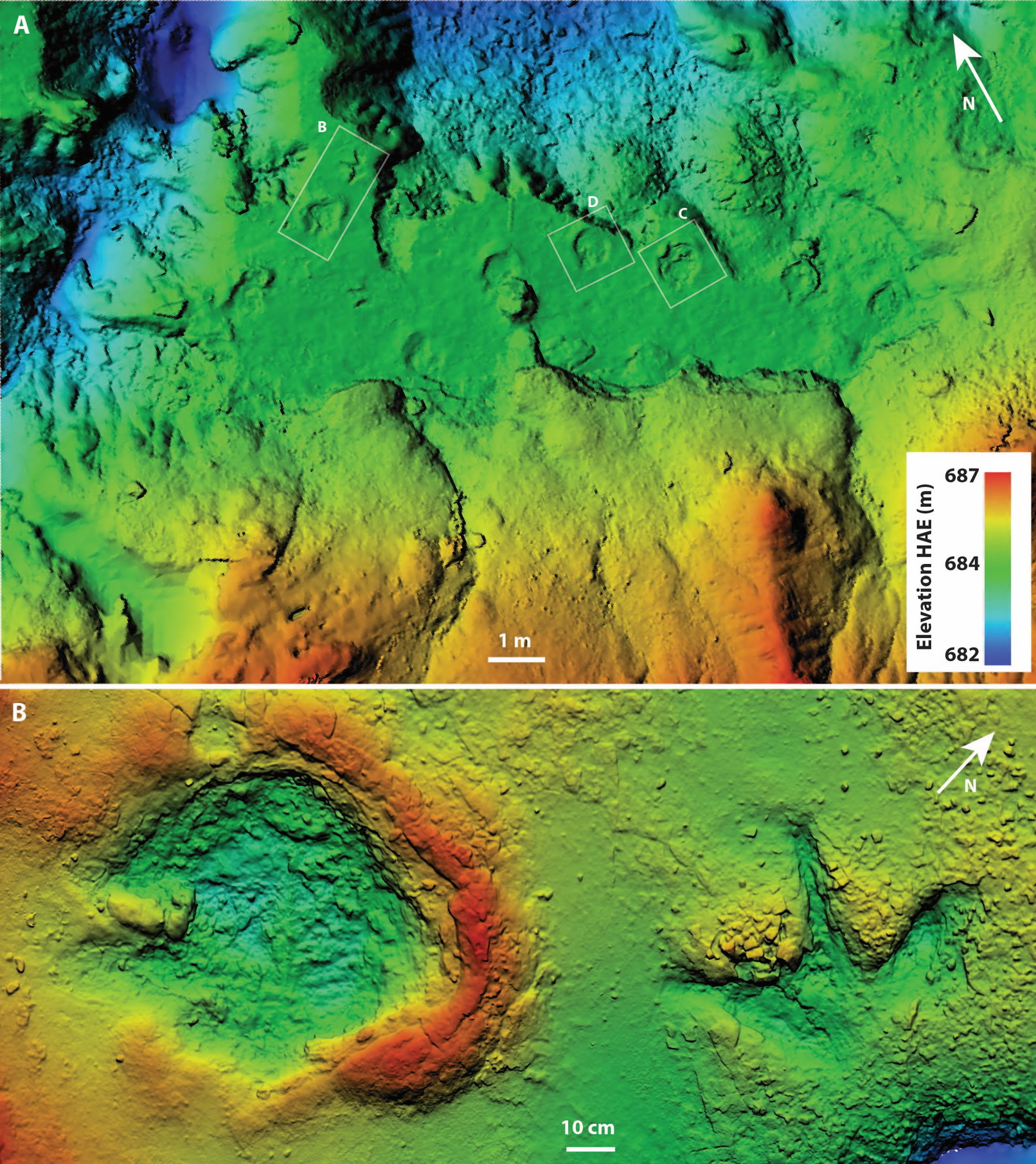 化石脚印显示:恐龙成群结队地漫步,附近的霸王龙足迹可能解释了原因