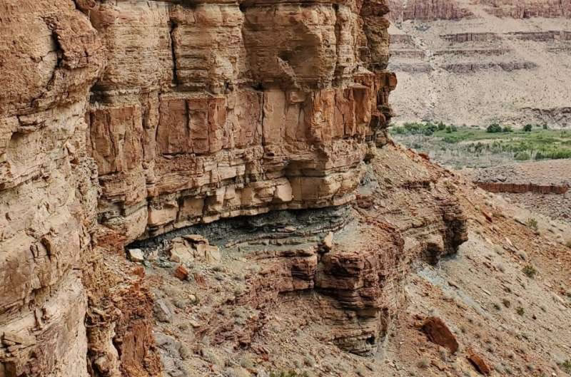 化石发现揭示,大峡谷是早期动物进化的“金发姑娘区”