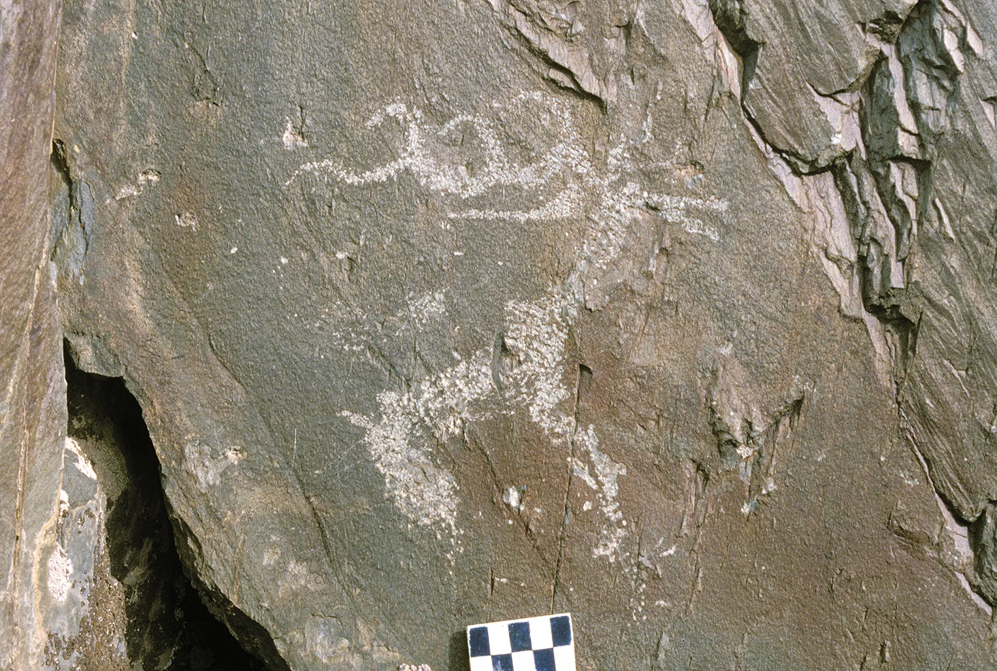 为什么古代人把麋鹿描绘成狼一样的怪物