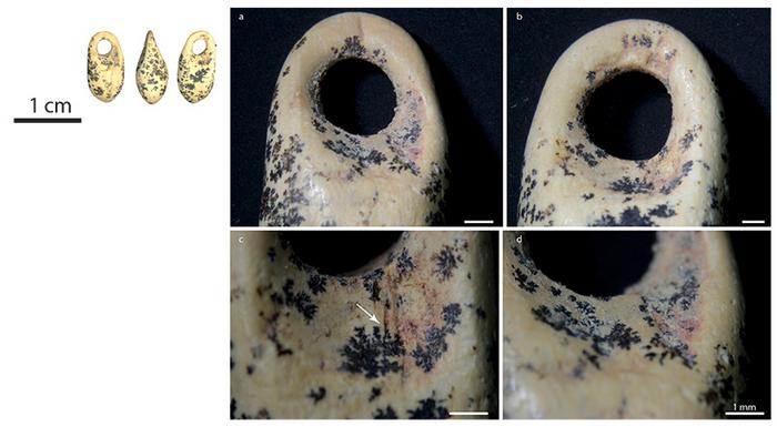 新挖掘活动追踪了欧盟地区智人的定居