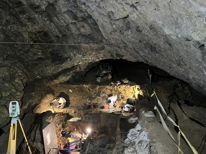 新挖掘活动追踪了欧盟地区智人的定居