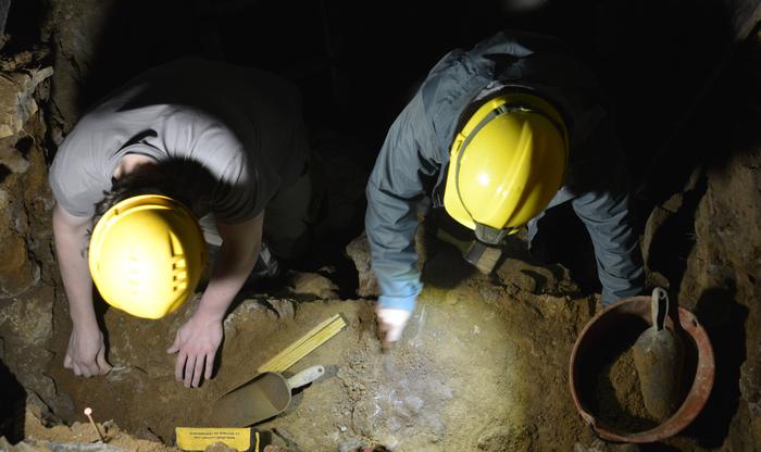 新挖掘活动追踪了欧盟地区智人的定居