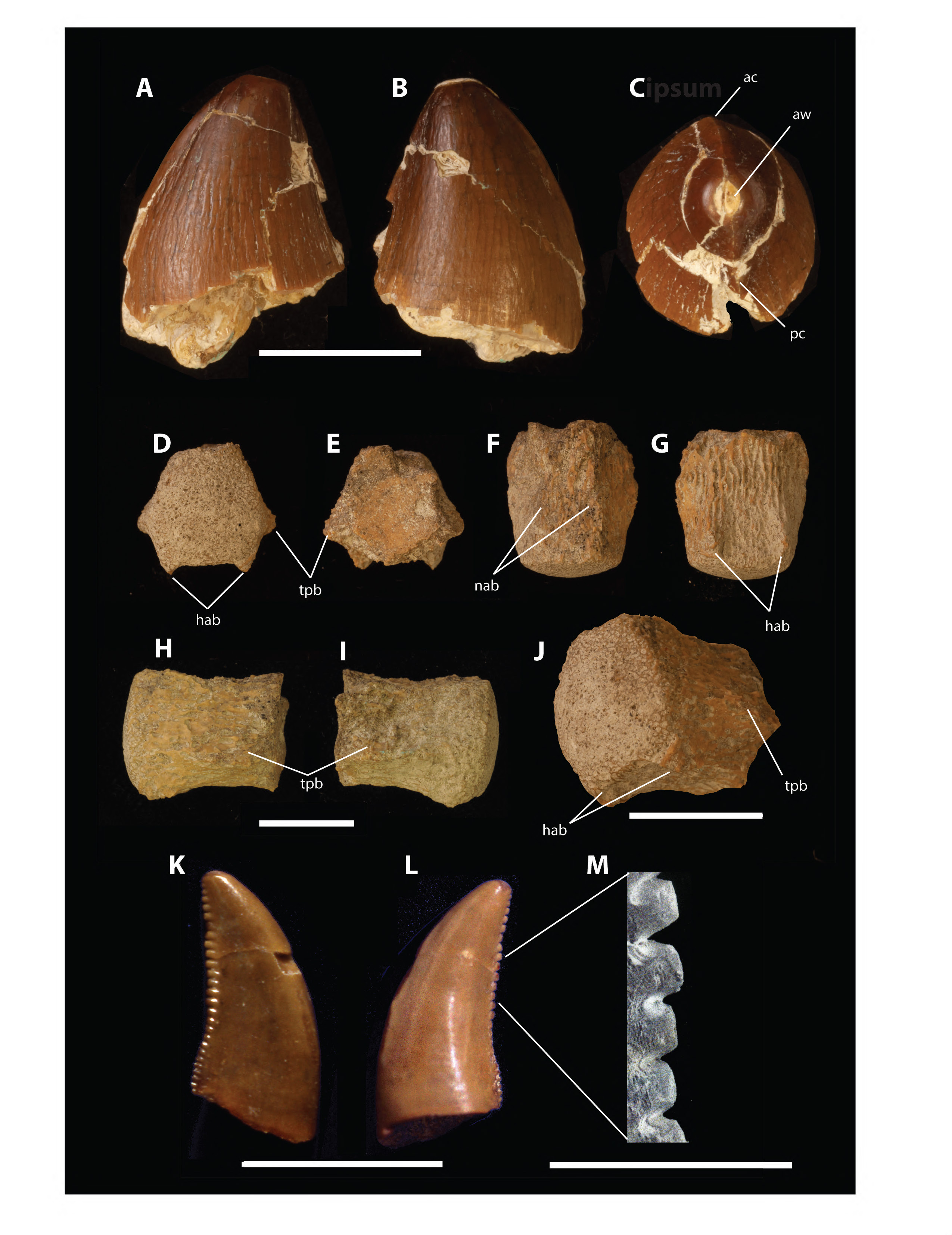 ·˹ݵĻʯʾɱСײǰ