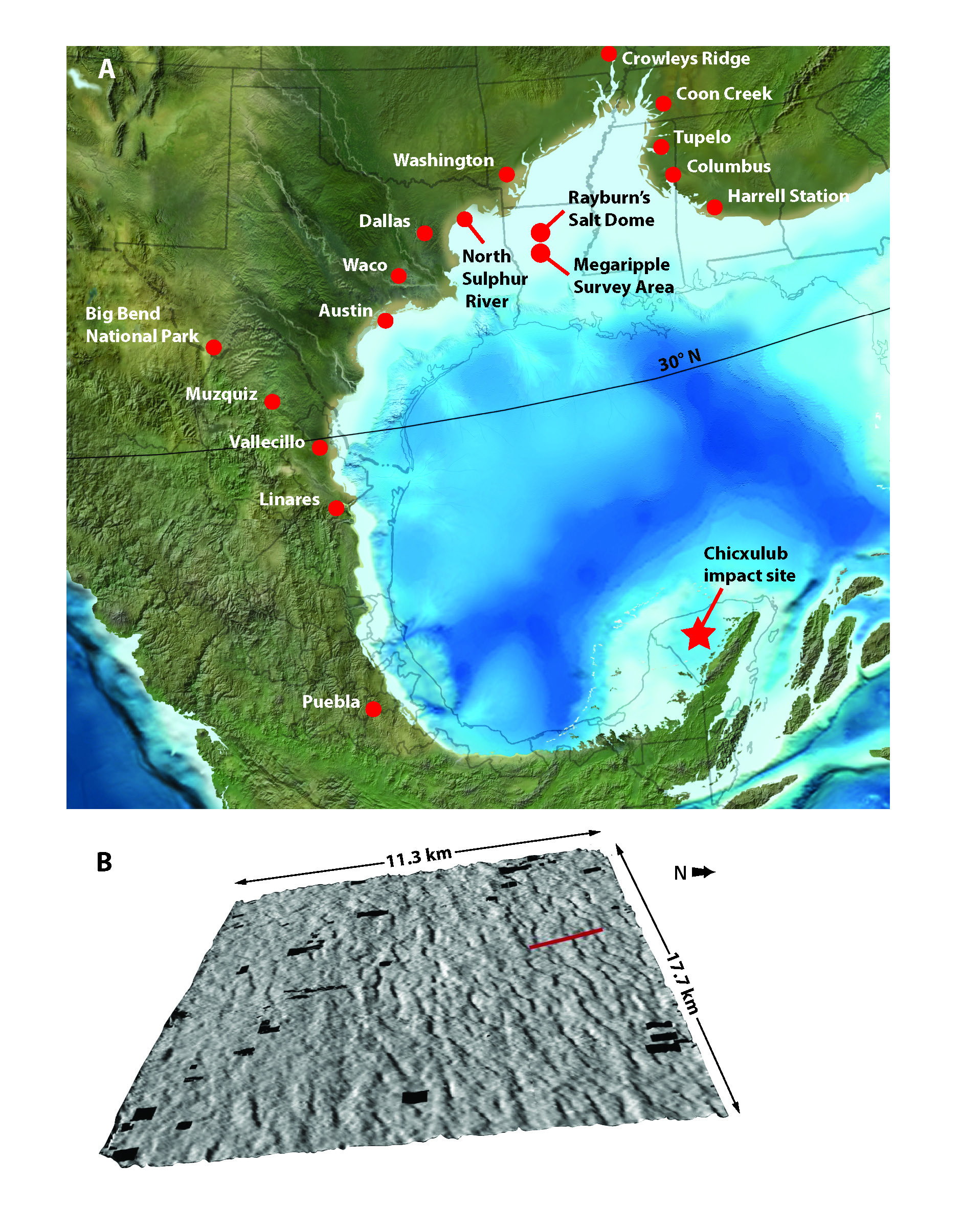 ·˹ݵĻʯʾɱСײǰ