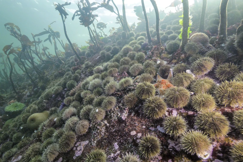 ѧǱʾѾ⿪ɱ50ڿźǵ