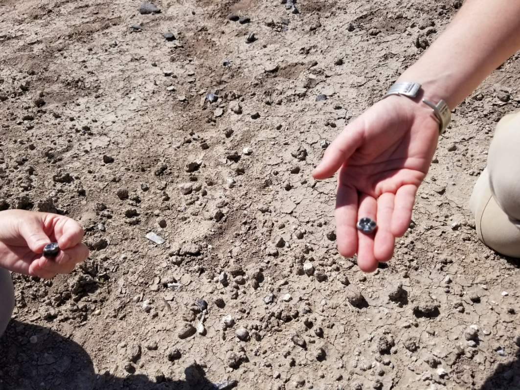 科学家发现了新的化石,以及一种新的古代人类祖先物种