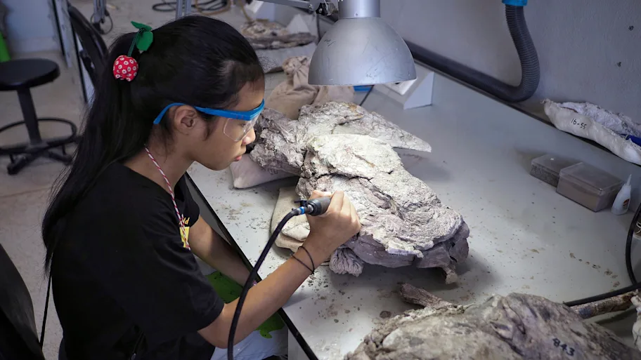 Ŵԭ׿԰ʶʯ¼еġСĴܡ