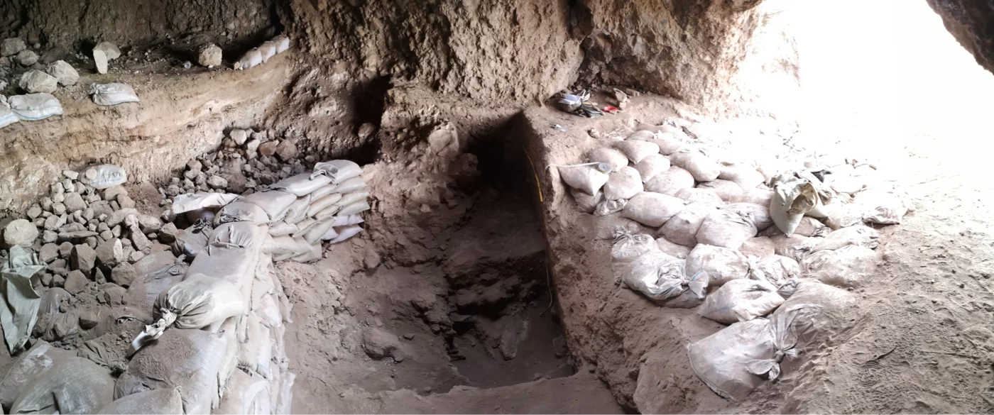 发现远离新月沃地的野生谷物觅食挑战了关于农业起源的假设