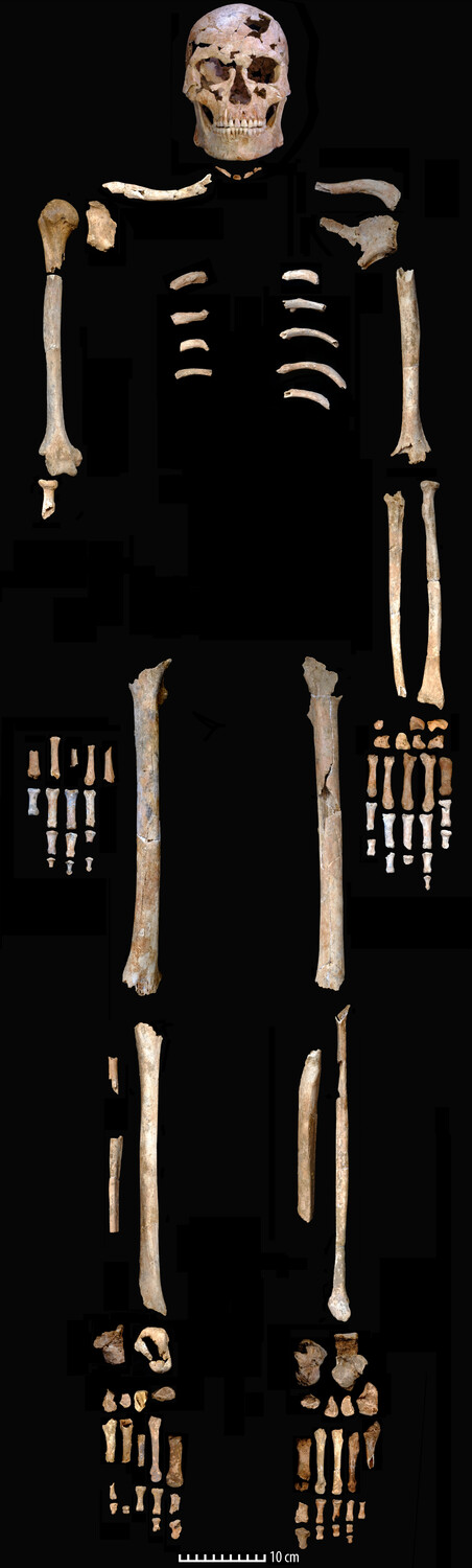 һ12000ǰӹϵ߹ǶѣΪṩ˶ԹŴԽϱļ