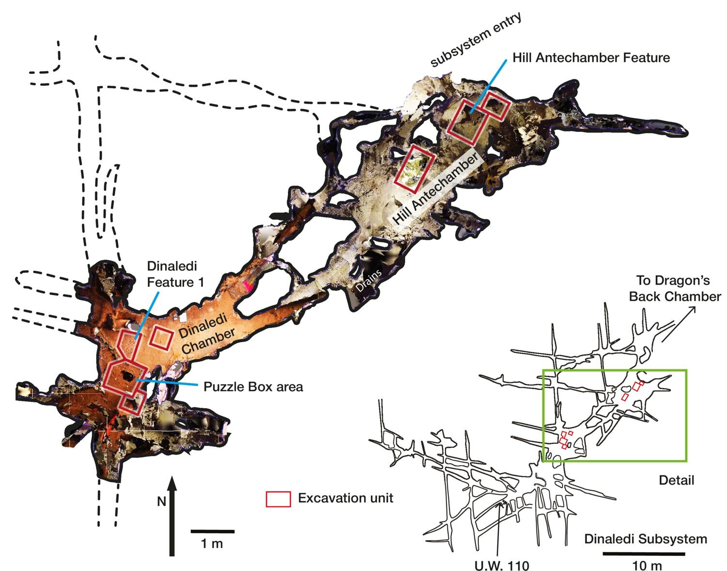 ���ϷǶ�Ѩ�����ѧ�ҷ���������������ϵ�Ĺ��