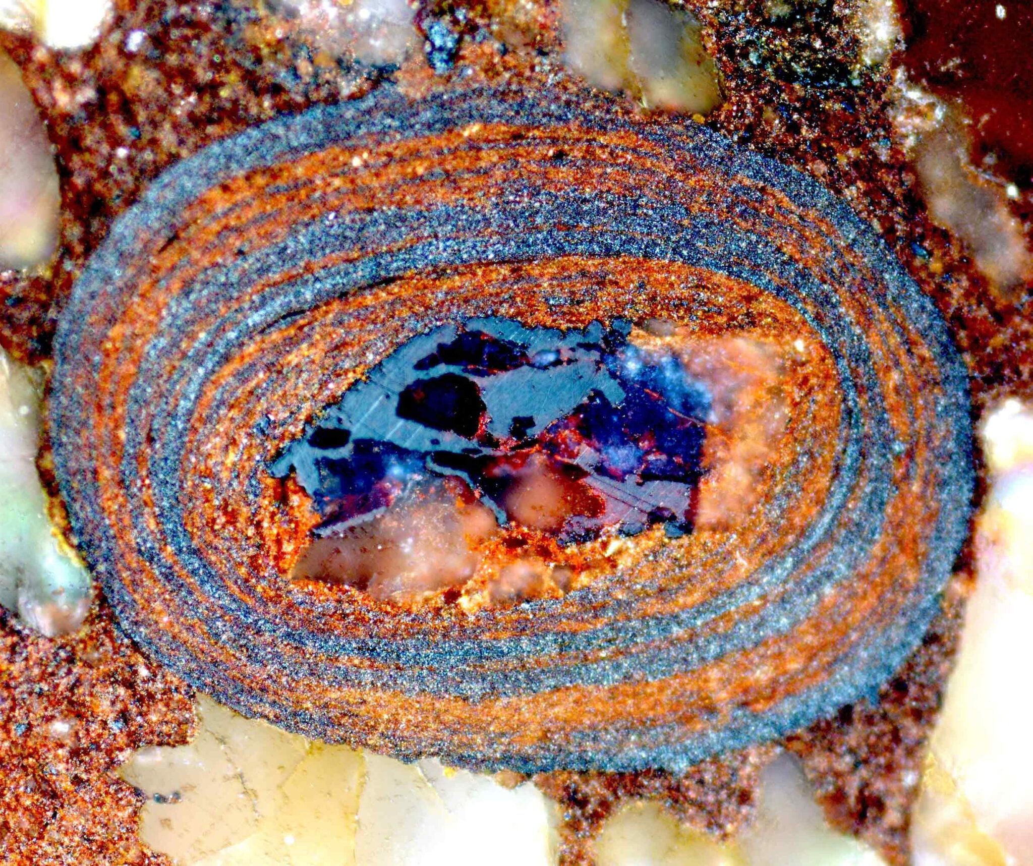 科学家破解隐藏在微小海洋石头中的数十亿年之谜