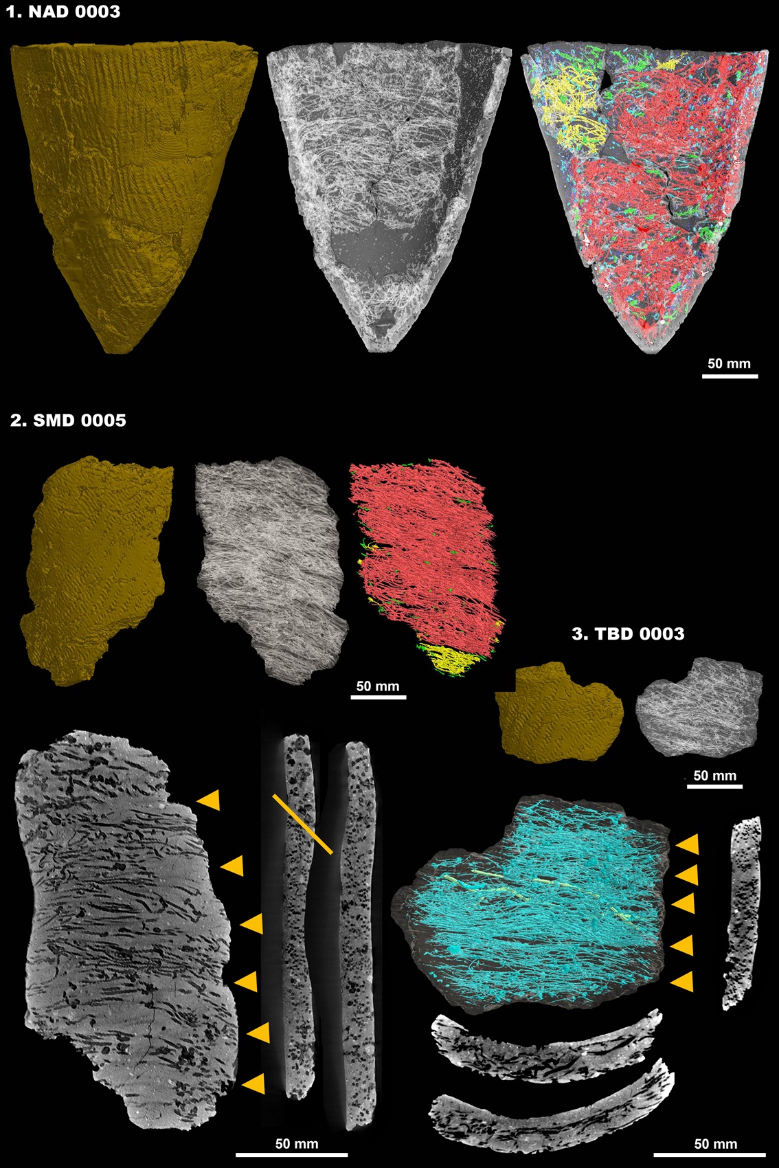 使用X射线CT从陶器中复活的古代渔网