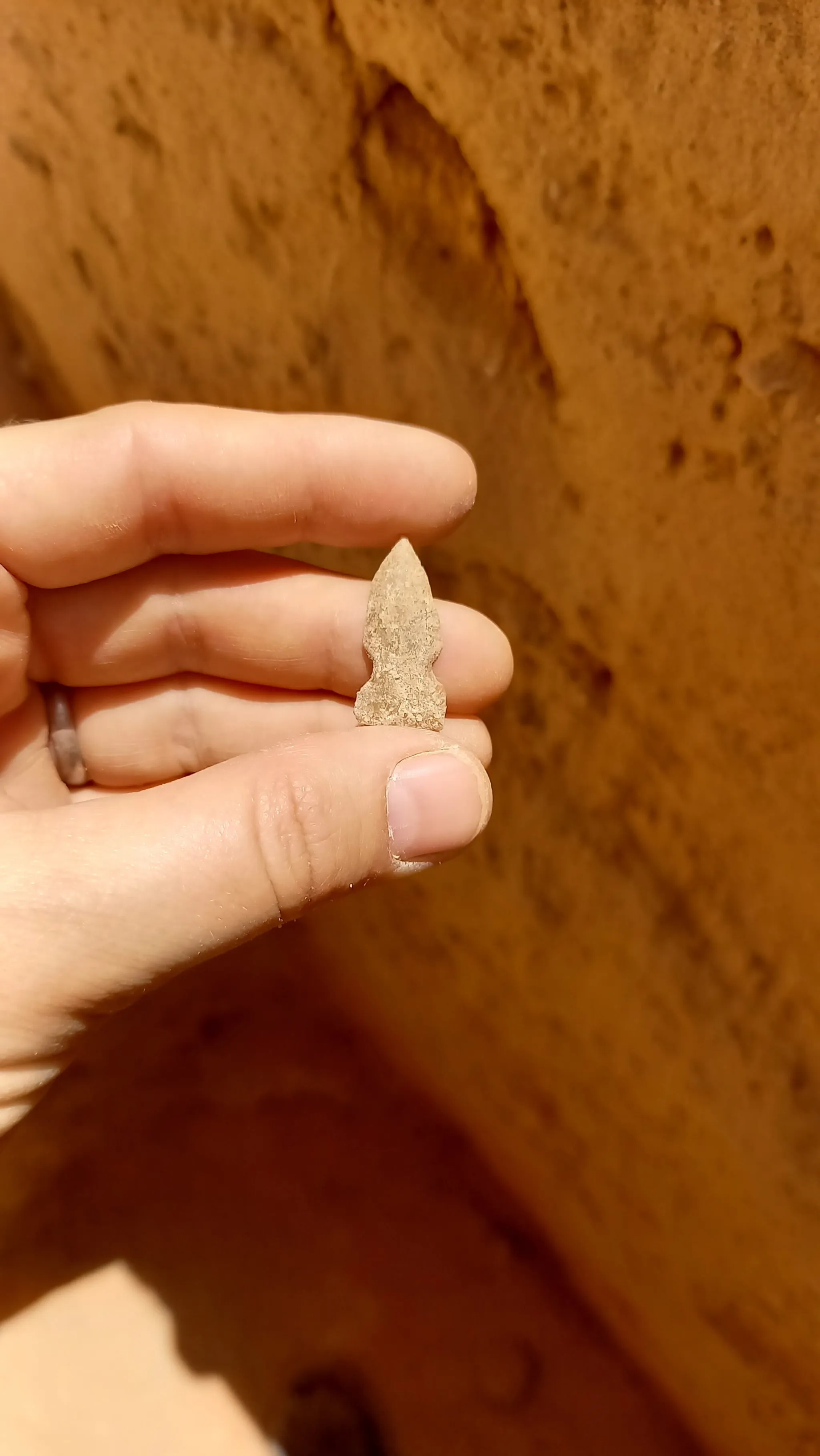 12000年前岩石艺术中描绘的骆驼