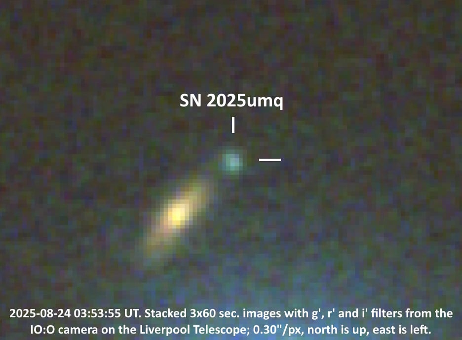敬业的业余爱好者在遥远星系中发现超新星