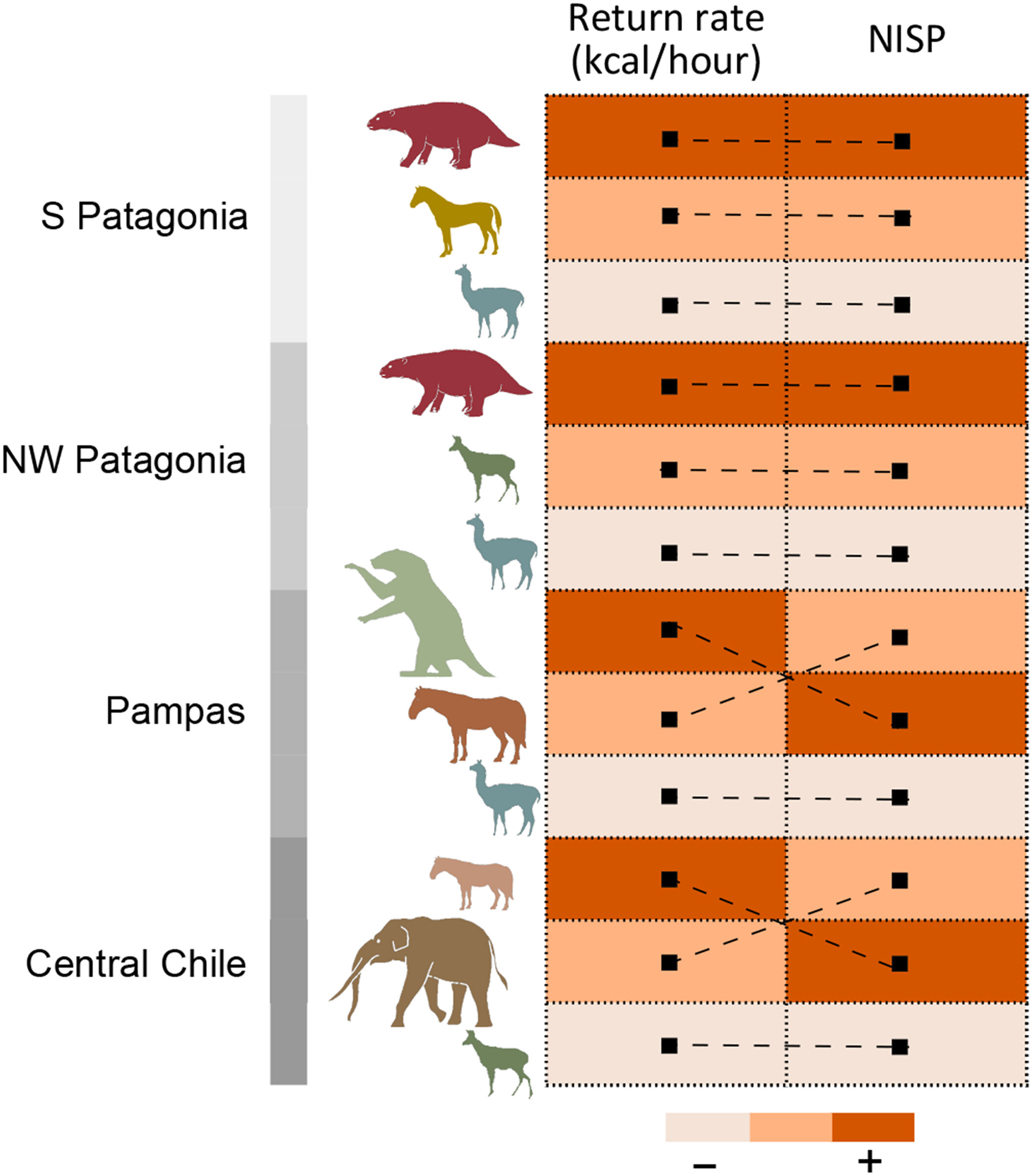 考古学家发现,早期人类以巨型树懒和其他冰河时代的巨型动物为食