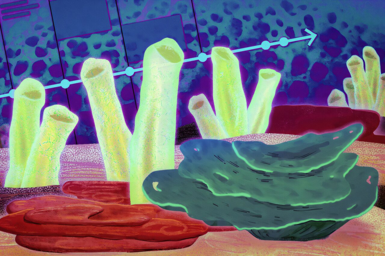 ѧǿѾ˵ϵĵһֶⲻ