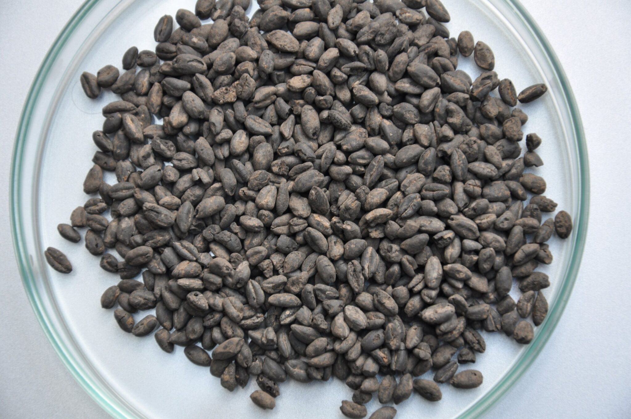 科学家揭示7,000年前古代农民如何改变欧洲的田地