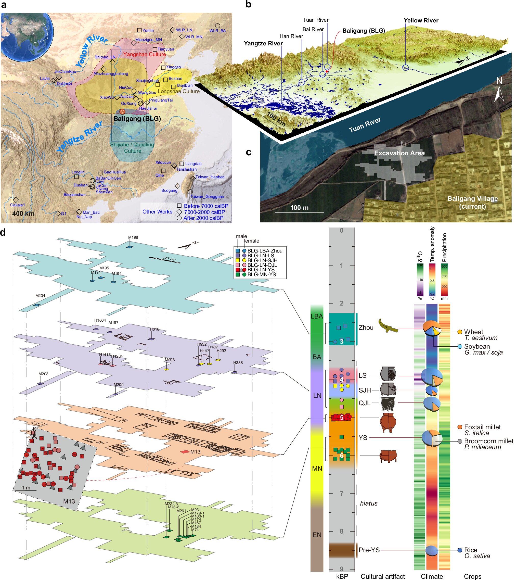 ŴDNAʾйһϵᣬκĶҪ4000