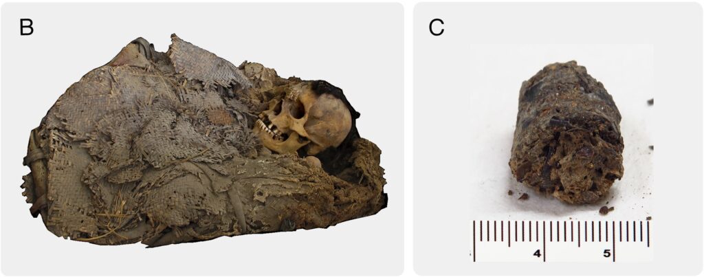 ѧڹīľзֱ1,000ǰĳϸ