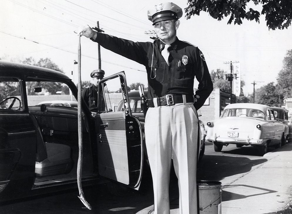 花了半个世纪才解开美国密苏里州致命蛇恐慌之谜