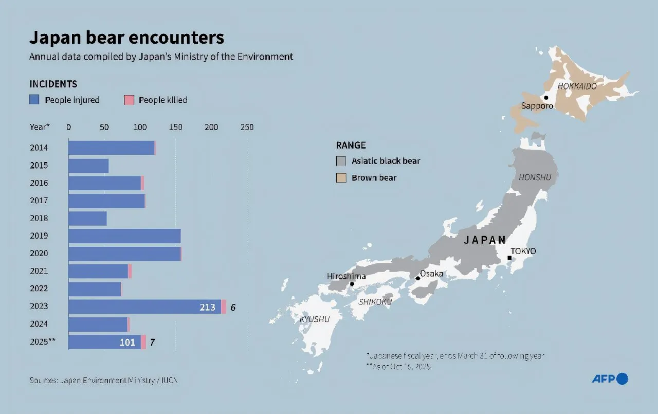 自3月以来,熊在日本袭击了100多人