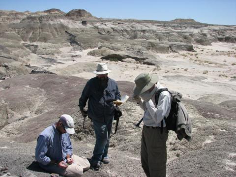 研究表明,新墨西哥州的恐龙一直繁衍生息到最后