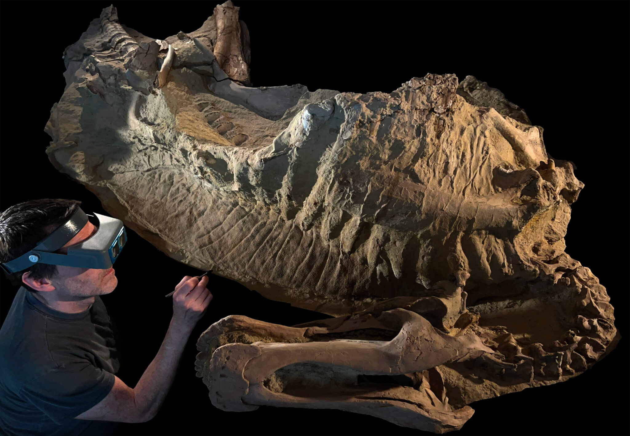 6600万年前的粘土面具首次展现巨型恐龙的逼真全身肖像