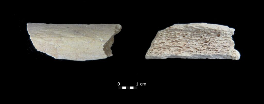 45,000ǰĹͷʾᰲʧǰԽ˴½