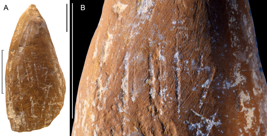 考古学家发现了70,000年前的“蜡笔”,证明尼安德特人也是艺术家
