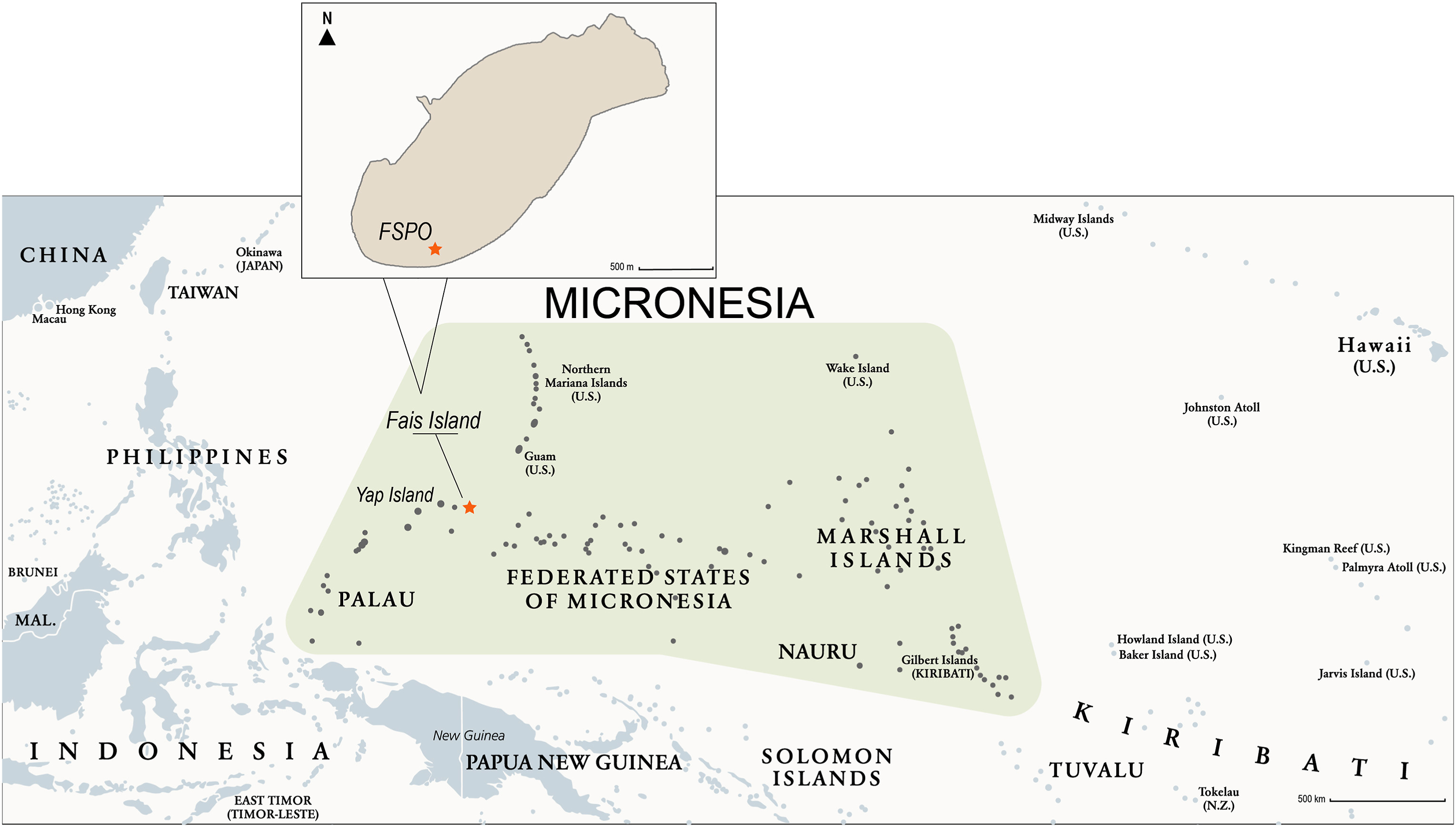 通过胶原蛋白中隐藏的化学指纹揭示石器时代太平洋的捕鱼行为