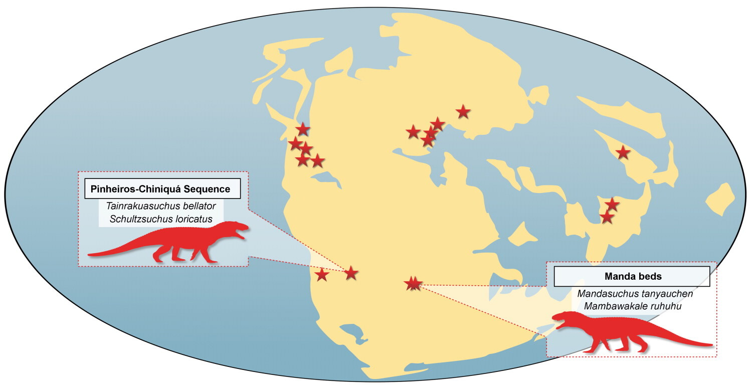 捕食者是鳄鱼的前身,尽管它生活在早期恐龙之前,但它看起来就像鳄鱼