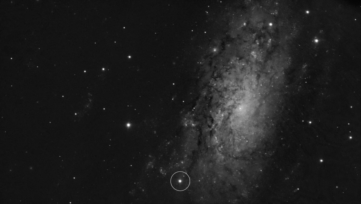 新生超新星在爆炸性诞生后仅数小时就被发现