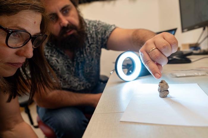 早在宙斯和勒达之前,纳图夫人就制作了一个12000年前的鹅与女人交配的雕像