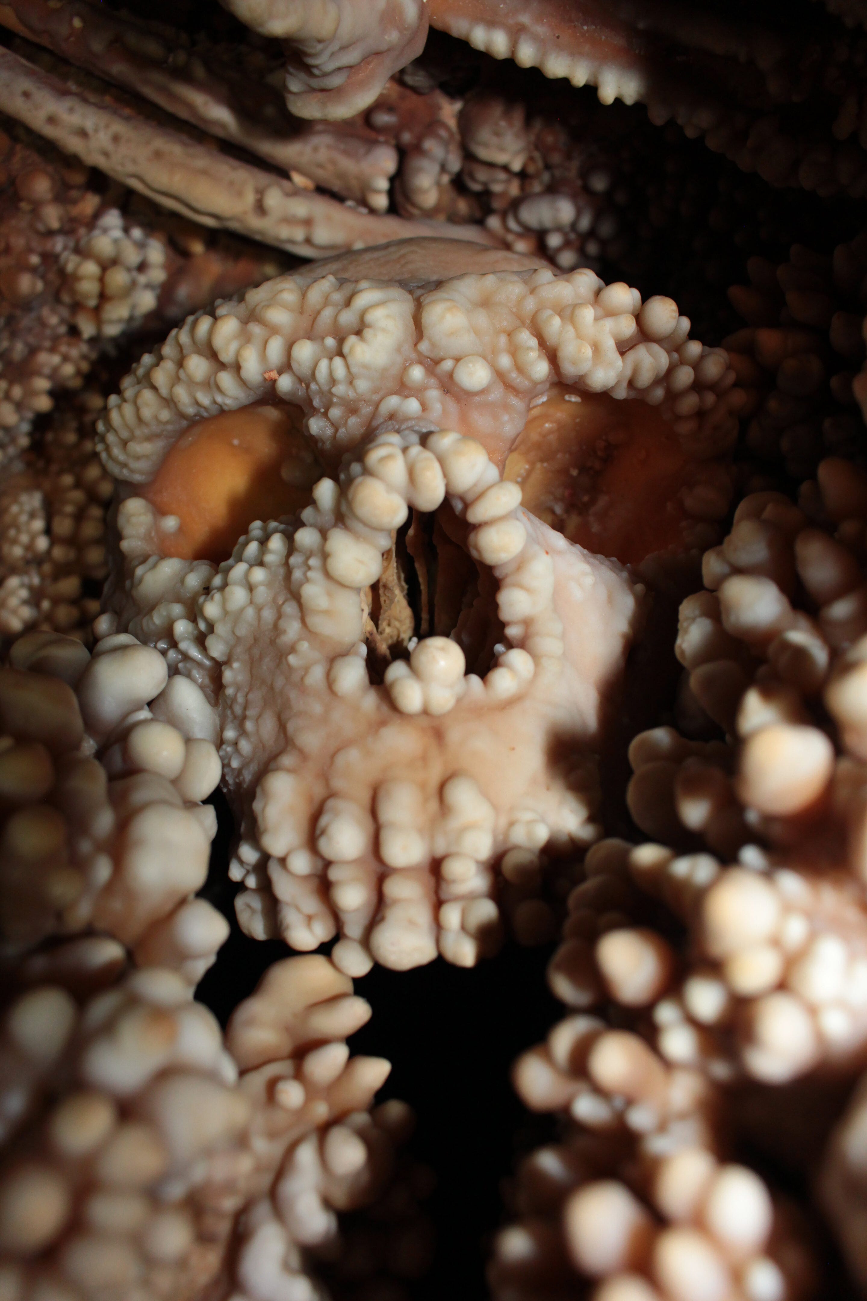 ͨһֻõᰲ˱ӣͼ⿪׵