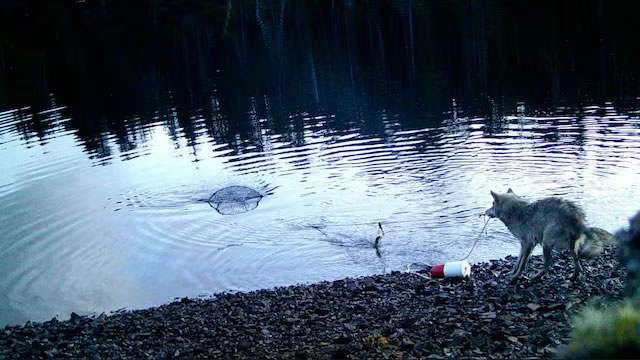 Ƶ׽ҰзѰʳǹߵʹ